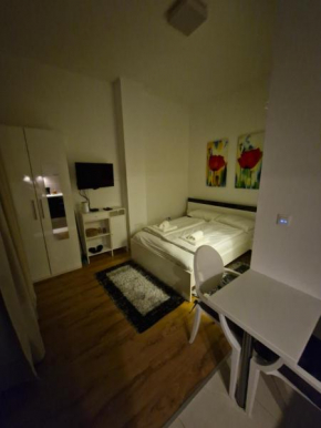Modern studio